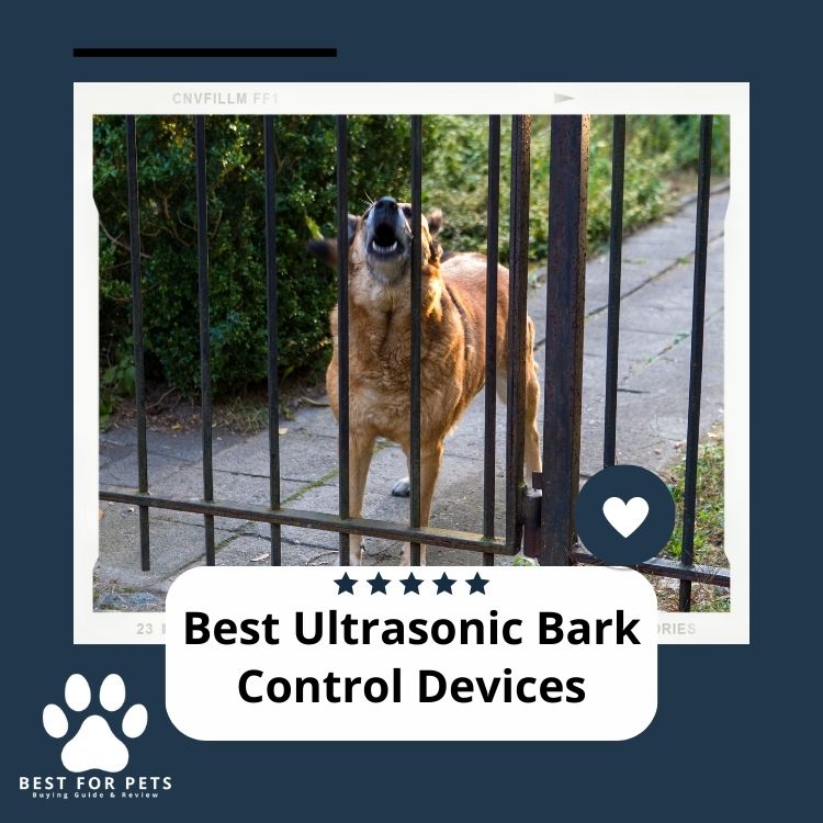 14 Best Ultrasonic Bark Control Devices [Update 2024 ]