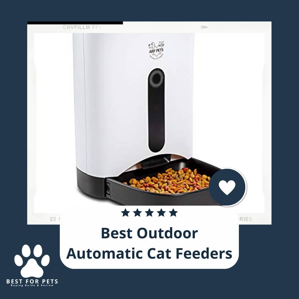 11 Best Outdoor Automatic Cat Feeders