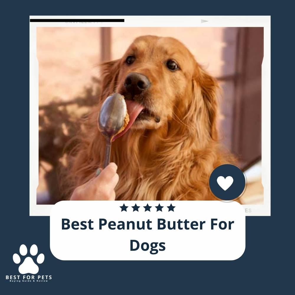 The 10 Best Peanut Butter For Dogs In 2023