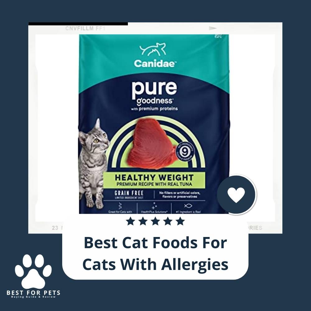 12 Best Cat Foods For Cats With Allergies BestForPets