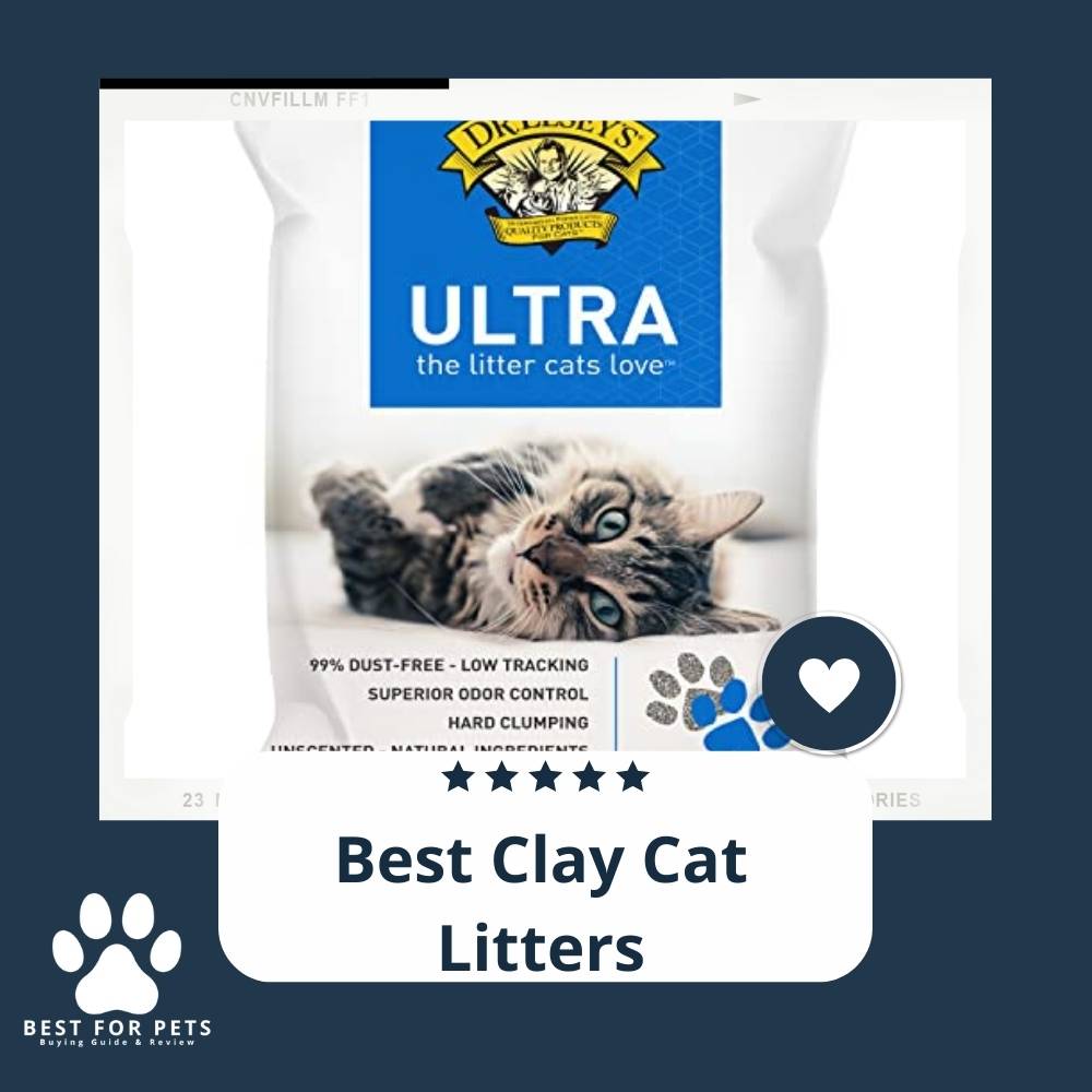 For Your Pet, The Best Clay Cat Litters