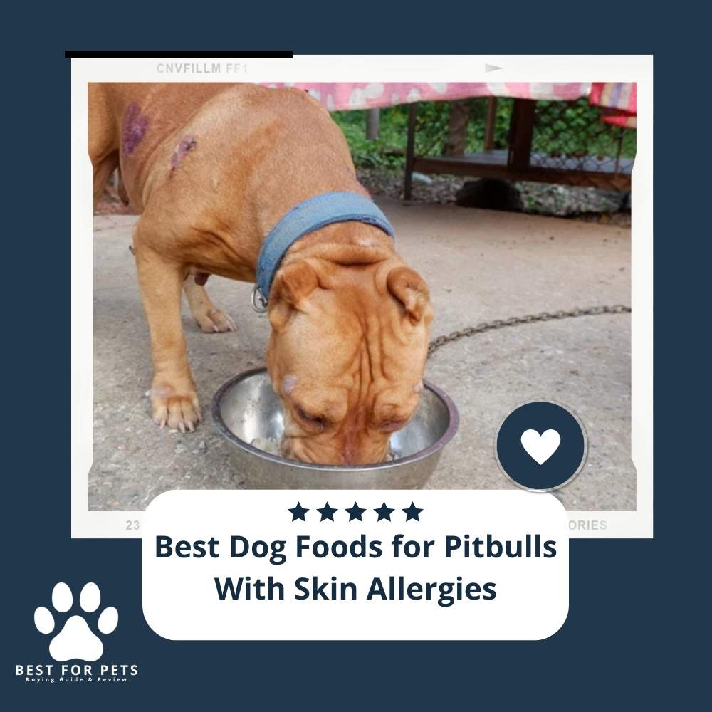 The 9 Best Dog Foods For Pitbulls With Skin Allergies