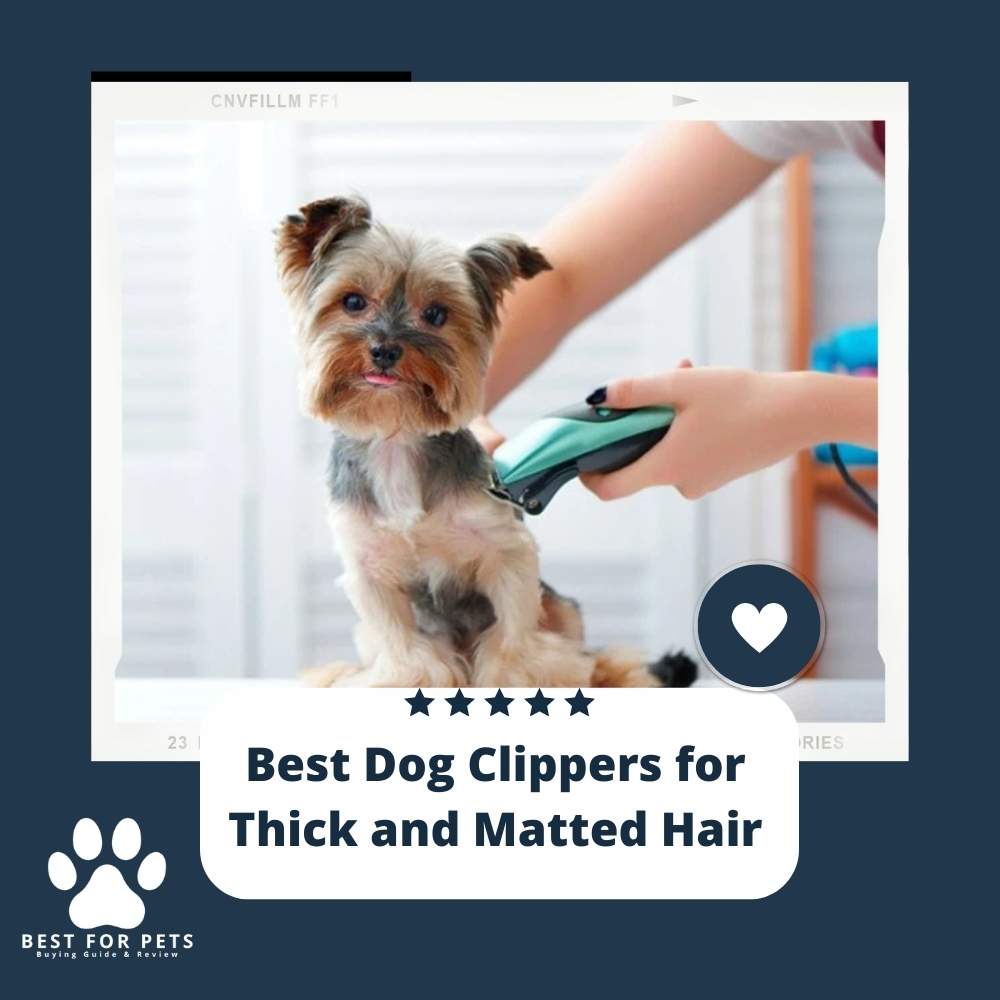 10 Best Dog Clippers for Thick and Matted Hair in 2026 - Dogster