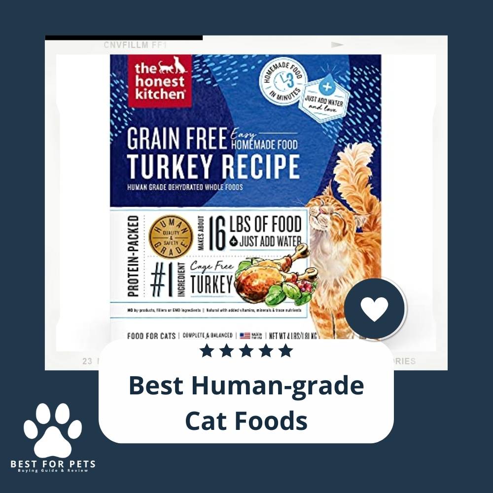 The 7 Best HumanGrade Cat Foods