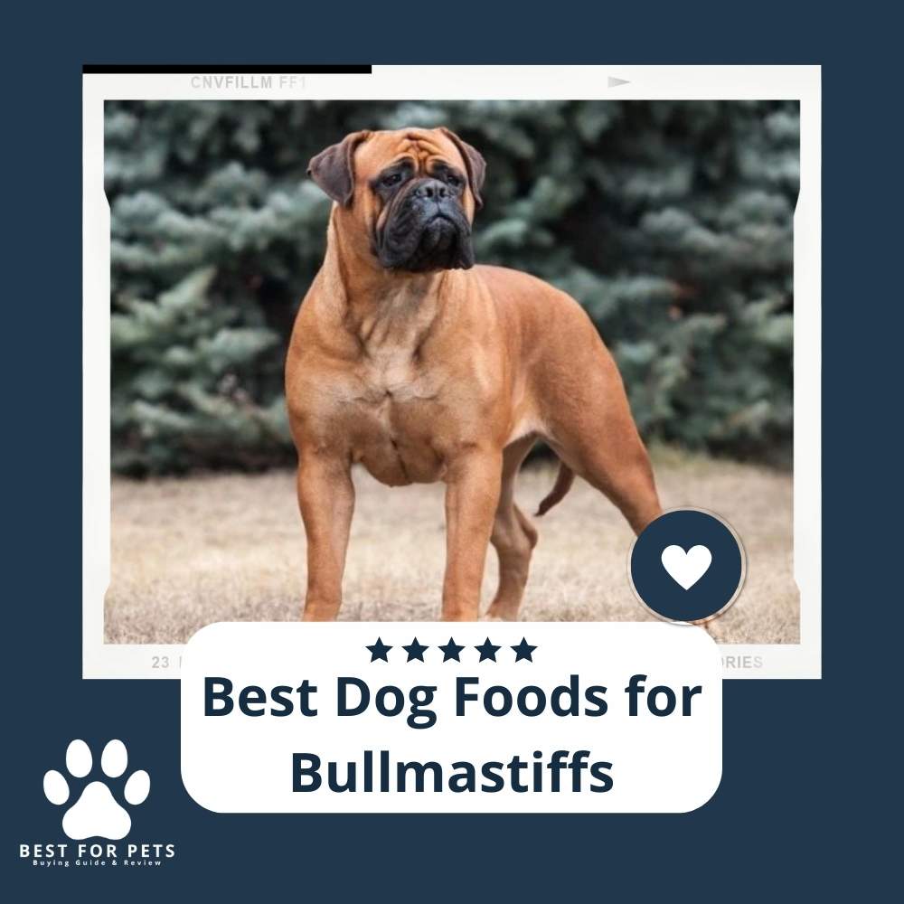The 9 Best Dog Foods For Bullmastiffs 2024