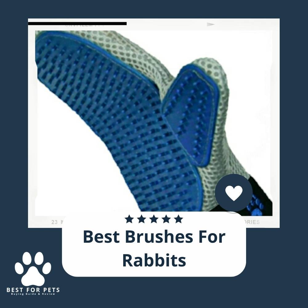 The 8 Best Brushes For Rabbits