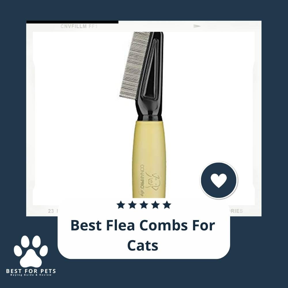 The Best Flea Combs For Cats In 2023 What You Need To Know