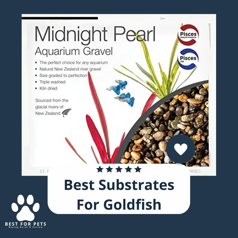10 Best Substrates For Goldfish 2023 Reviews & Top Picks