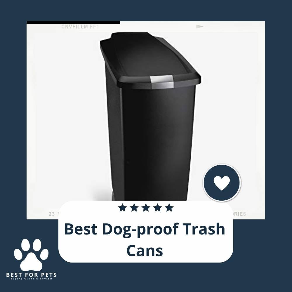 The 10 Best DogProof Trash Cans