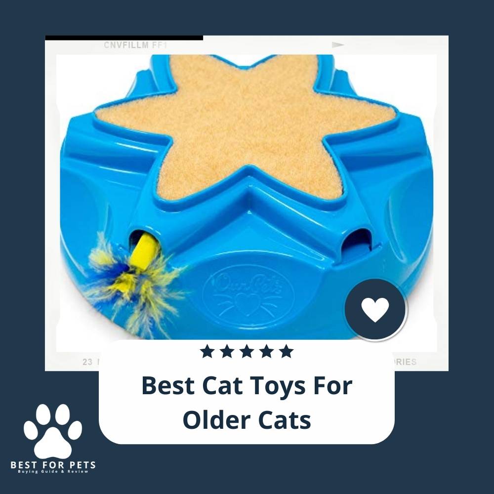 12 Best Cat Toys For Older Cats
