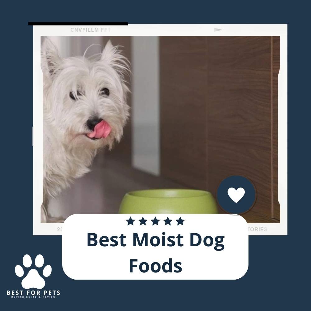 The 10 Best Moist Dog Foods In 2024 - BestForPets.org