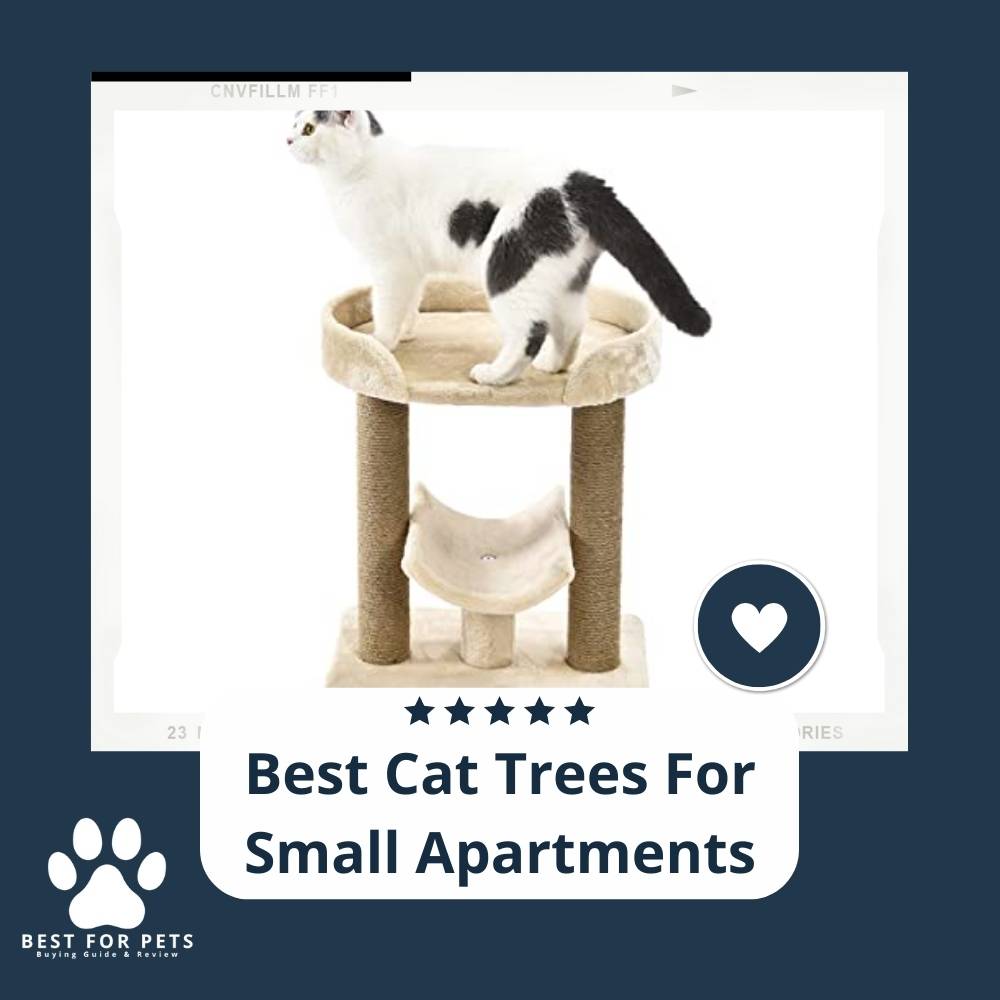 The Best Cat Trees For Small Apartments 9 Best Sellers In 2023