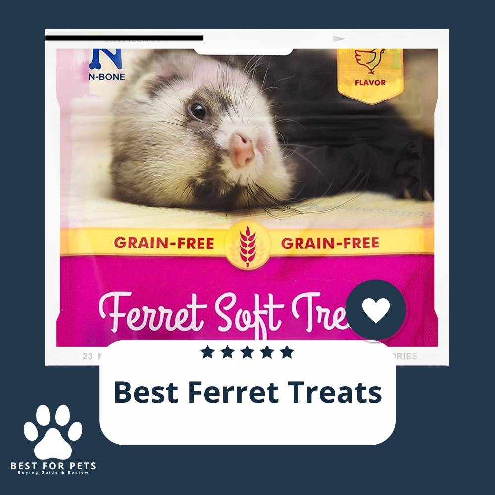 10 Best Ferret Treats Reviews & Top Picks