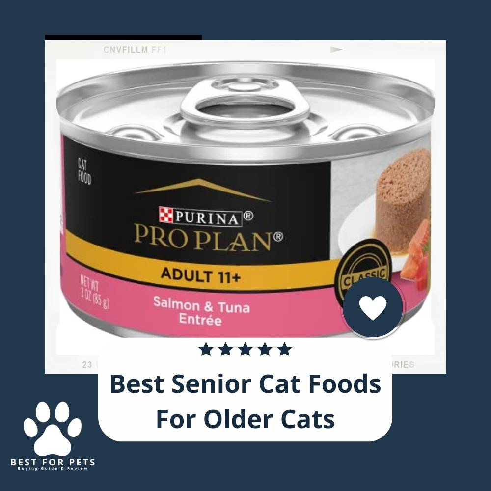 What Are The Best Cat Foods For Senior Cats at Ronald Miller blog