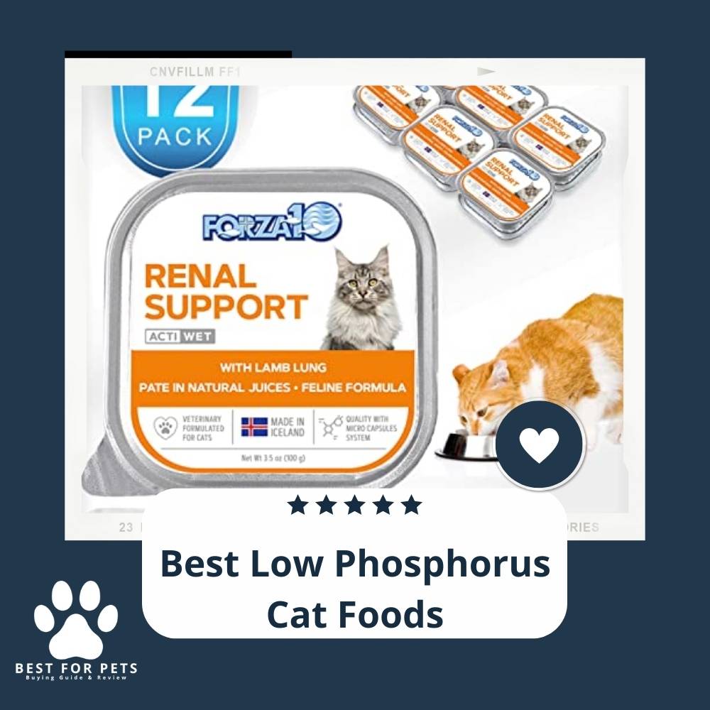 The 10 Best Low Phosphorus Cat Foods [Update 2024]