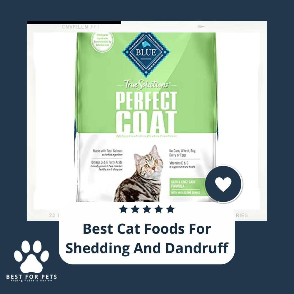 10 Best Cat Foods For Shedding And Dandruff