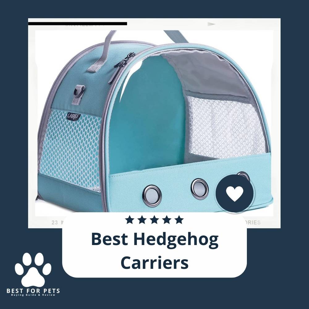 10 Best Hedgehog Carriers Reviews & Top Picks