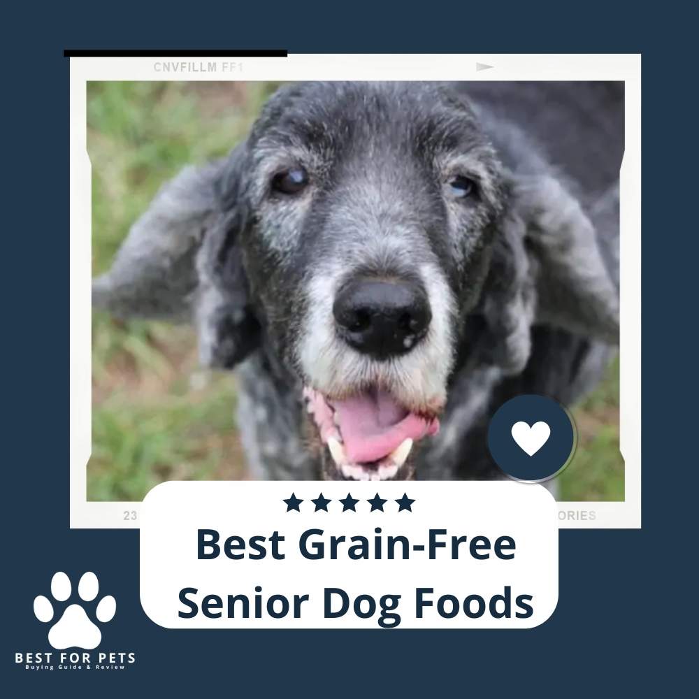 Grain Free Senior Dog Food Nourishing Your Golden Years