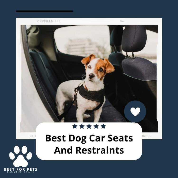 The 7 Best Dog Car Seats And Restraints in 2024