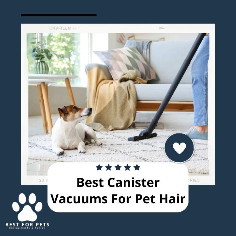 7 Best Canister Vacuums For Pet Hair