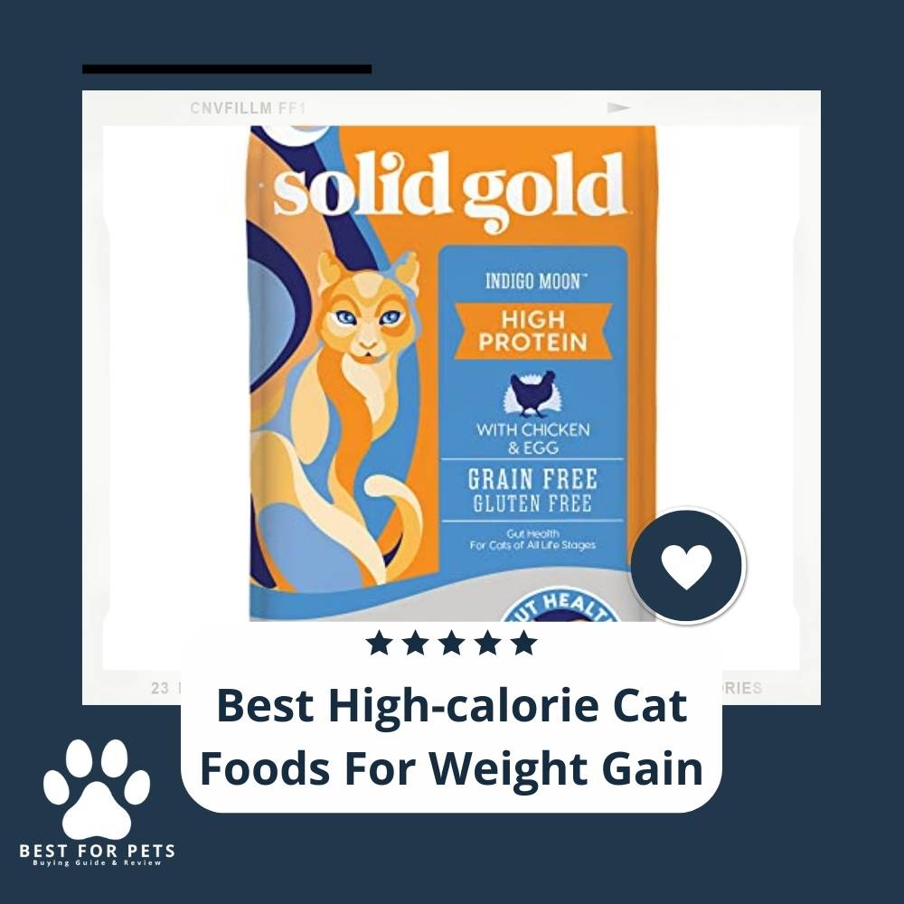 12-best-high-calorie-cat-foods-for-weight-gain-in-2023