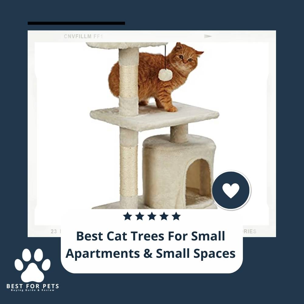 Small Apartment Cat Tree: A Guide to Finding the Perfect Fit for Your Feline Friend