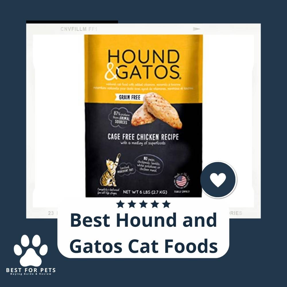 7 Best Hound And Gatos Cat Foods In 2023