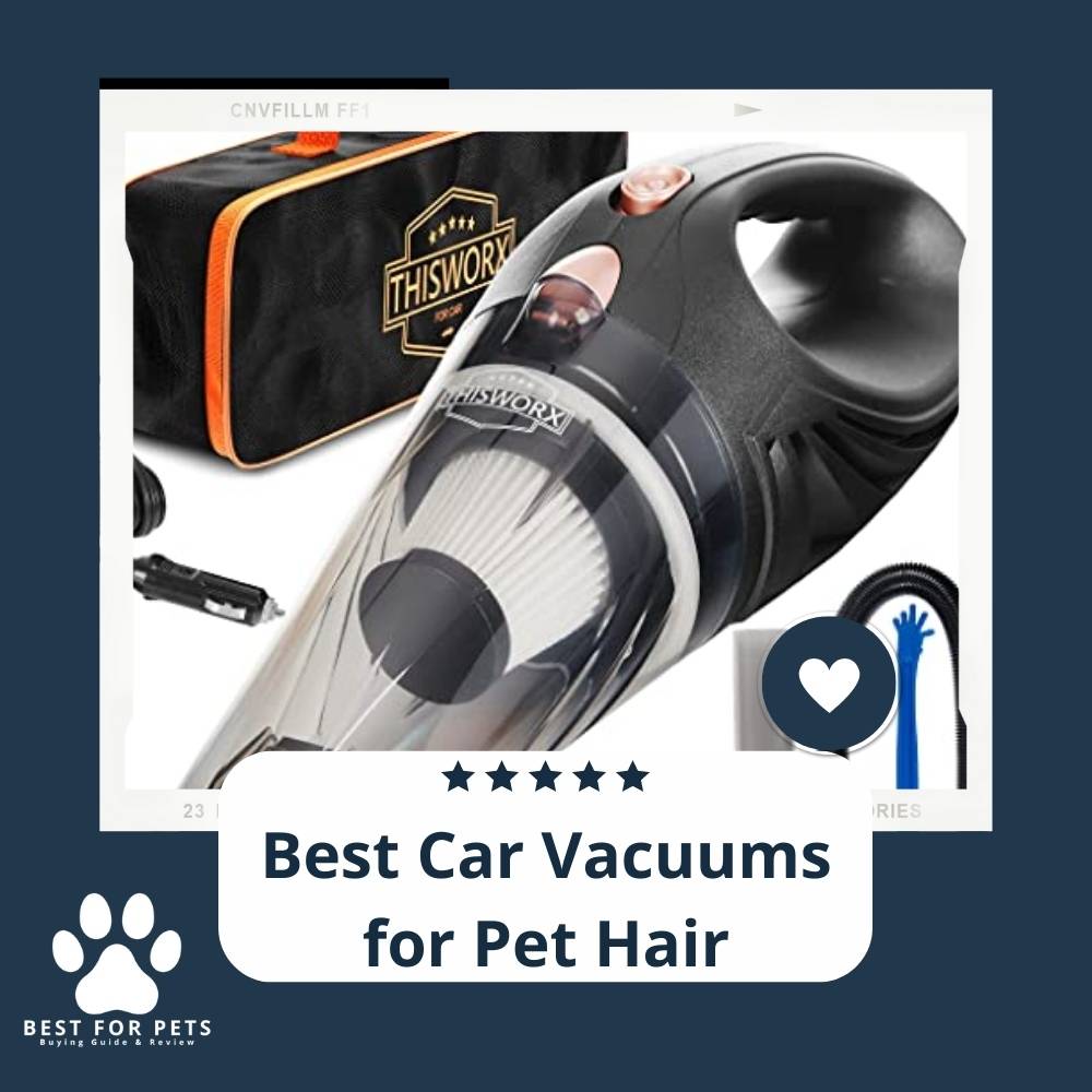 YDMXe31kp-best-car-vacuums-for-pet-hair YDMXe31kp-best-car-vacuums-for-pet-hair