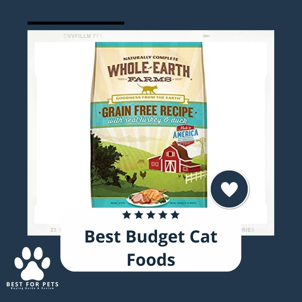 14 Best Cat Foods In Australia In 2023