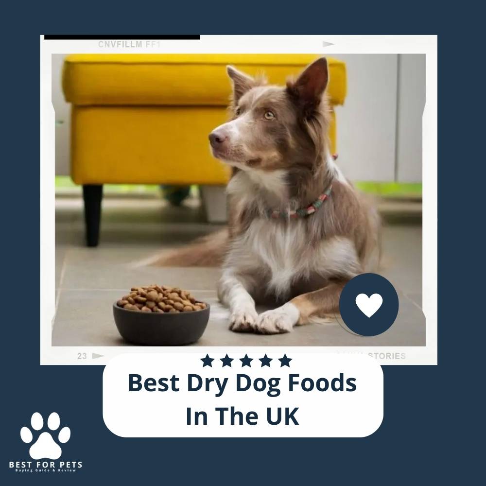 Best Dry Dog Foods In The UK Best For Pets