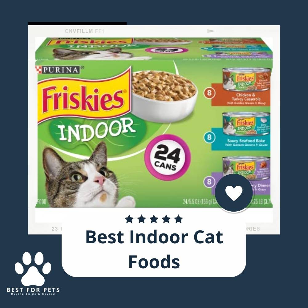 15 Best Indoor Cat Foods In 2023