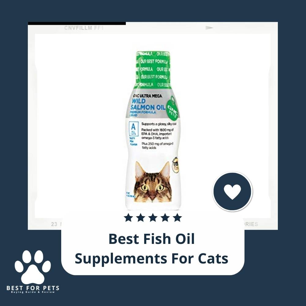 10-best-fish-oil-supplements-for-cats-bestforpets