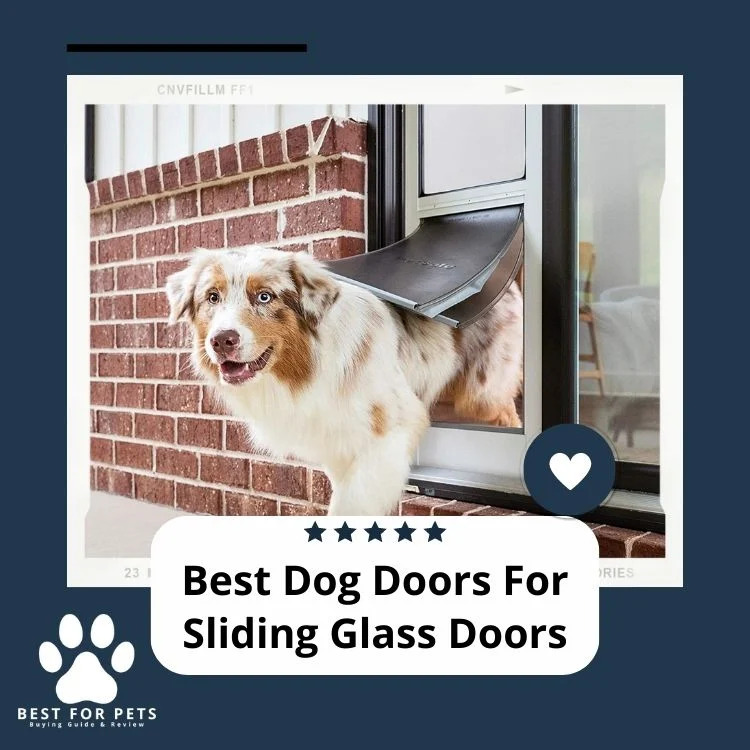Best Dog Doors For Sliding Glass Doors