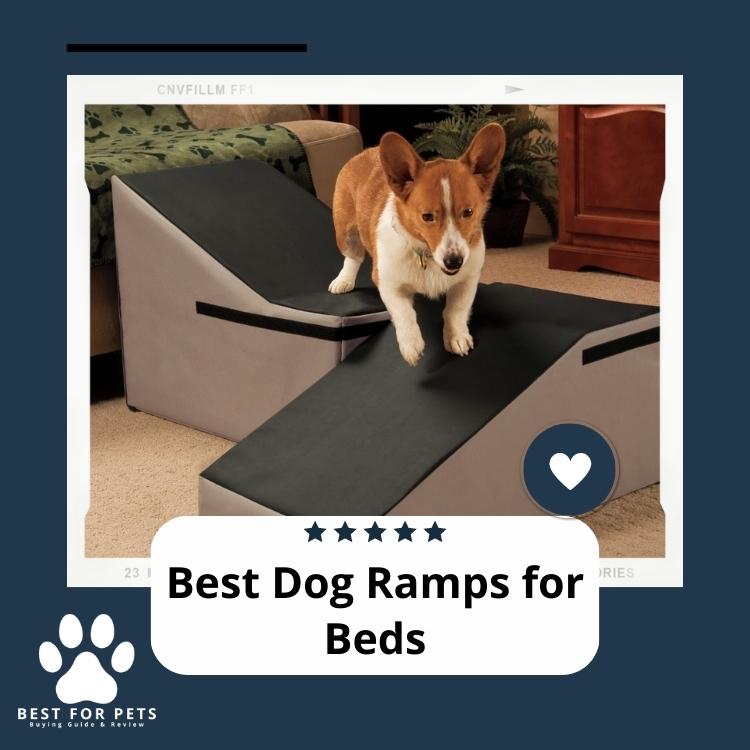 The 8 Best Dog Ramps for Beds in 2024