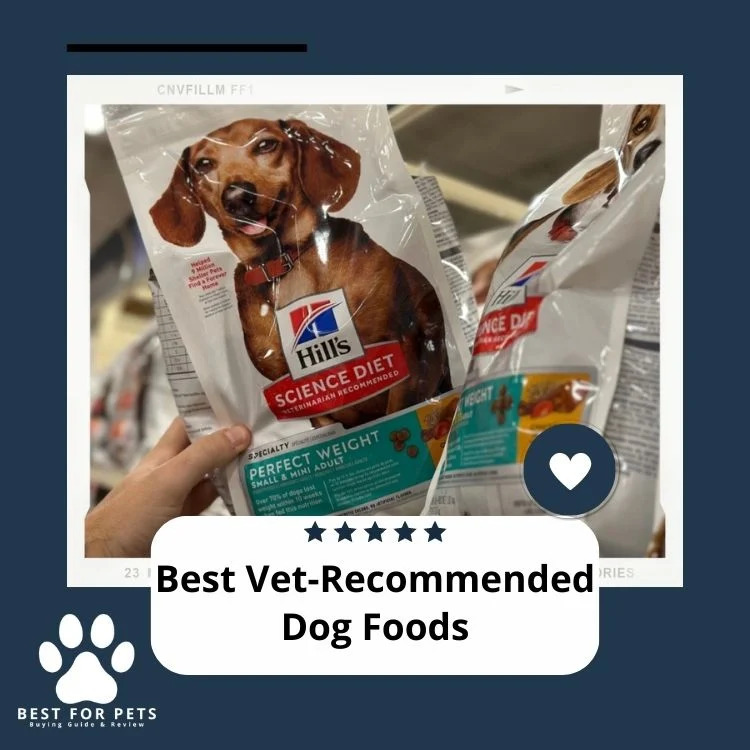 best vet recommended dog foods