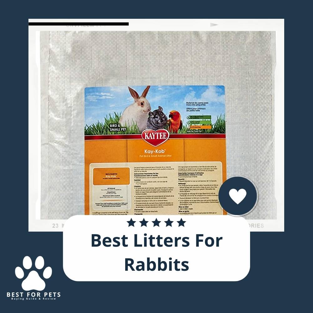 The 9 Best Litters For Rabbits