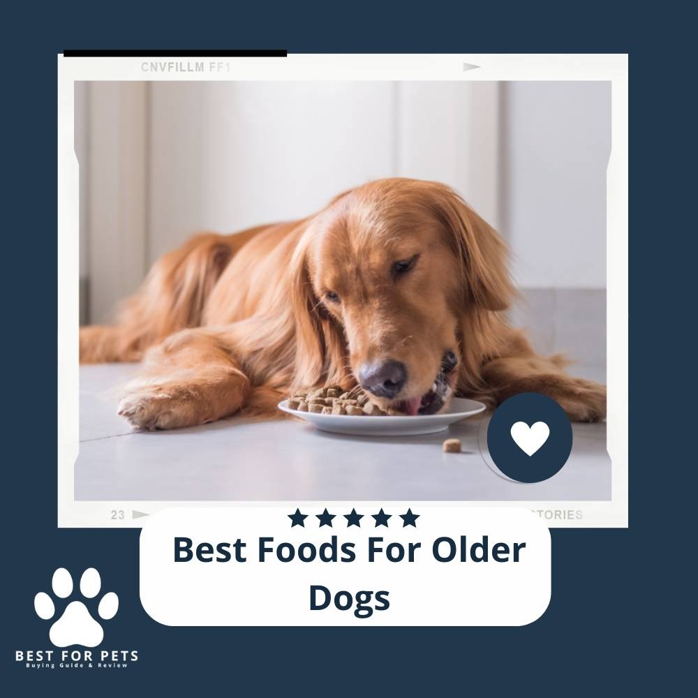 the-9-best-foods-for-older-dogs