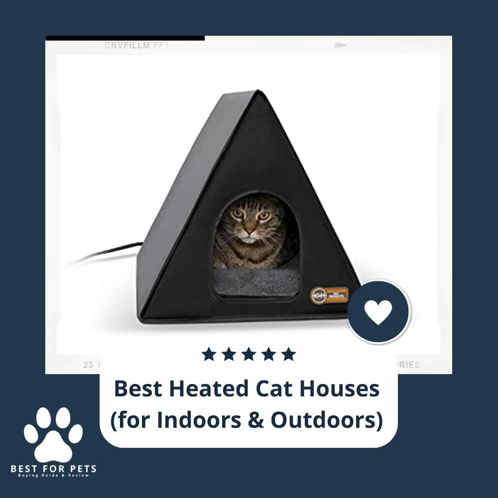 9 Best Heated Cat Houses (For Indoors & Outdoors) 2023