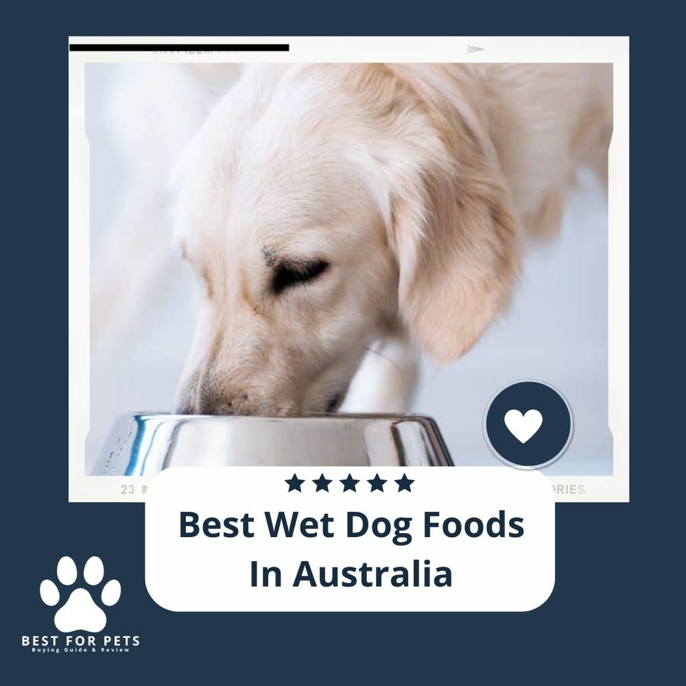 The 11 Best Wet Dog Foods In Australia