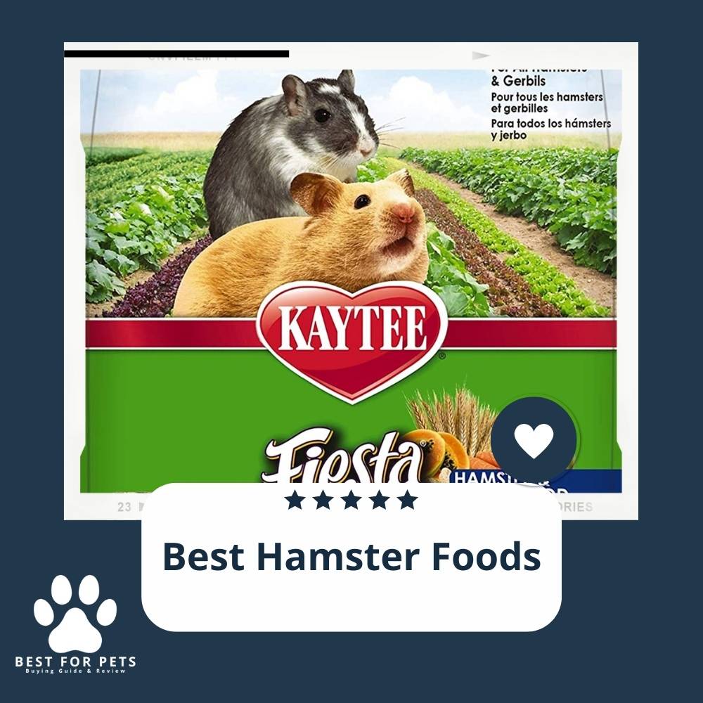 10 Best Hamster Foods Reviews & Top Picks