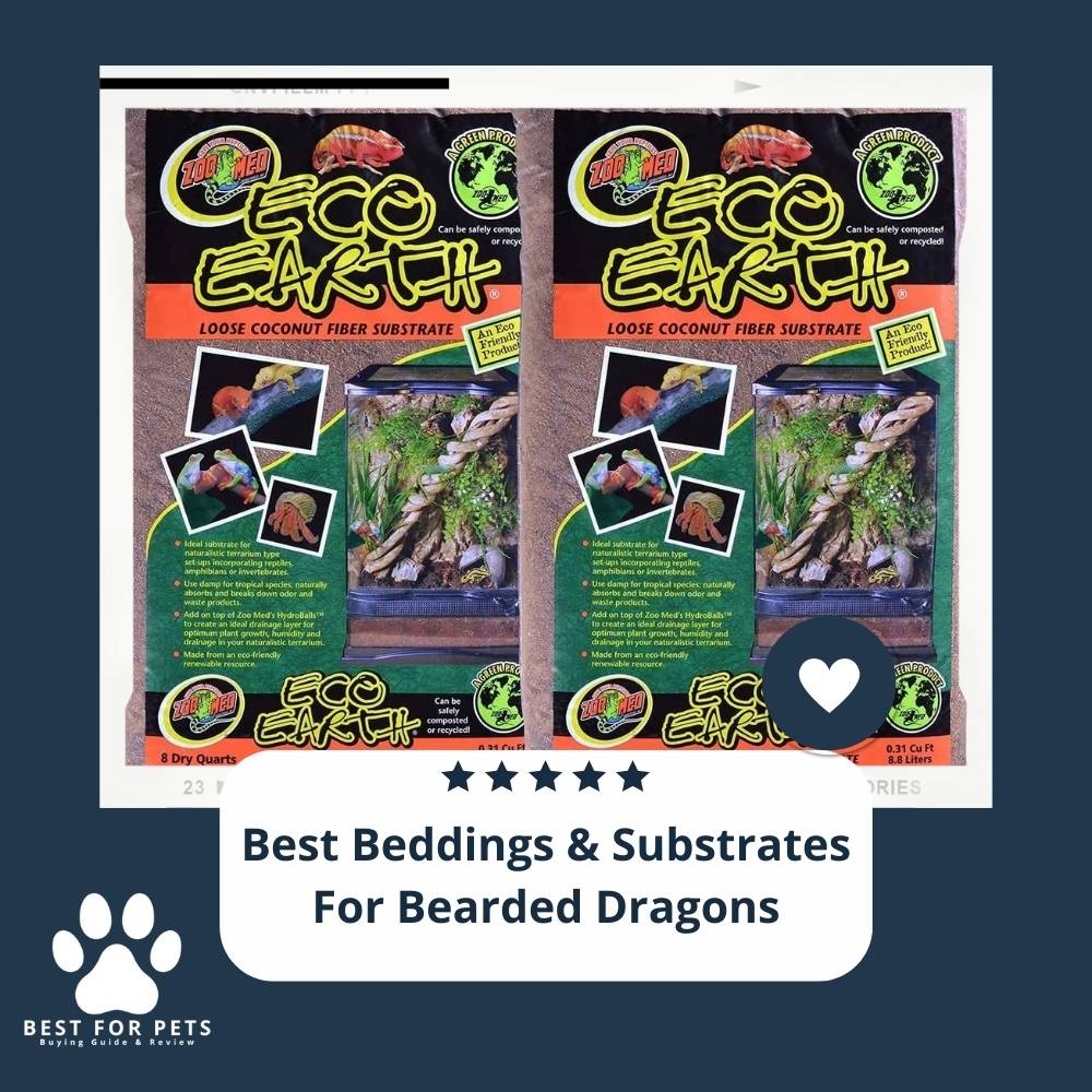 The 7 Best Beddings & Substrates For Bearded Dragons