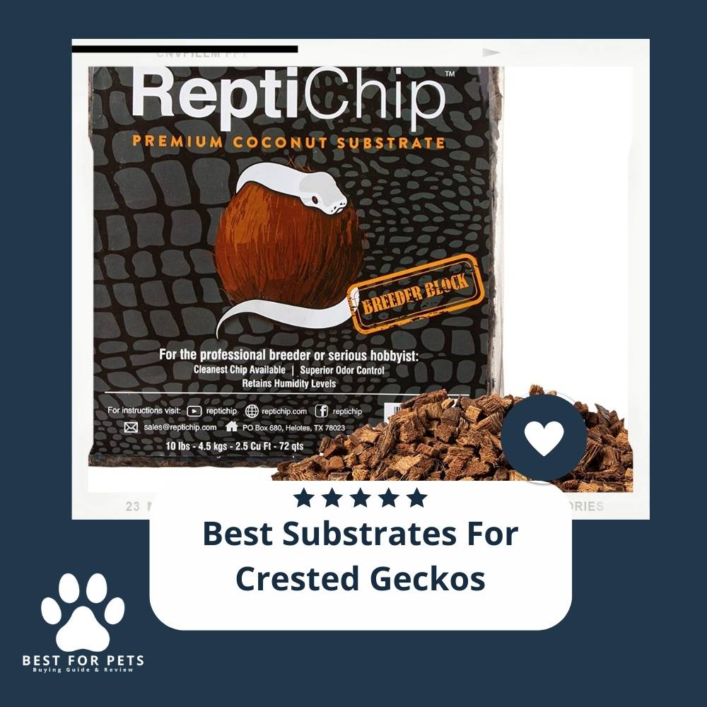 The 9 Best Substrates For Crested Geckos