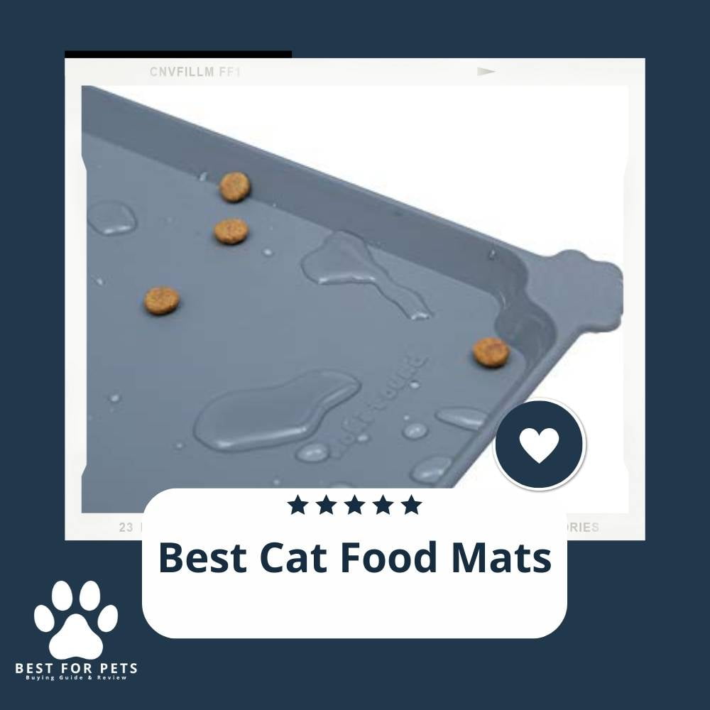 The 10 Best Cat Food Mats The 10 Best Cat Food Mats