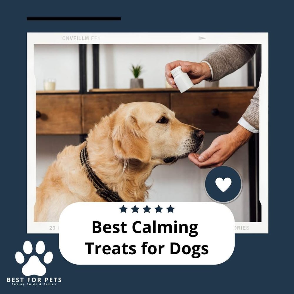 best-calming-treats-for-dogs-best-for-pets