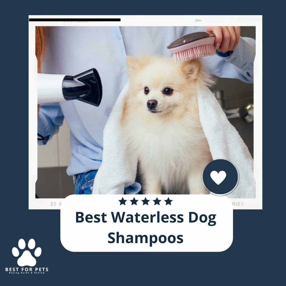 The 15 Best Waterless Dog Shampoos In 2023 - BestForPets