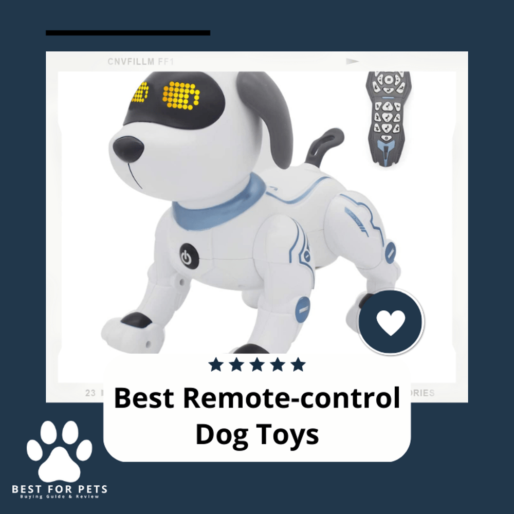 The 10 Best RemoteControl Dog Toys