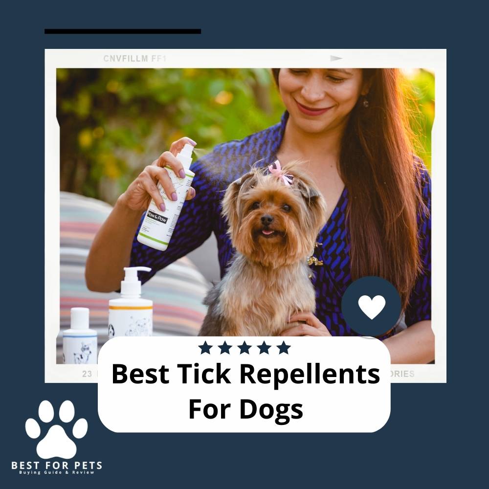 Best Tick Repellents For Dogs Best For Pets