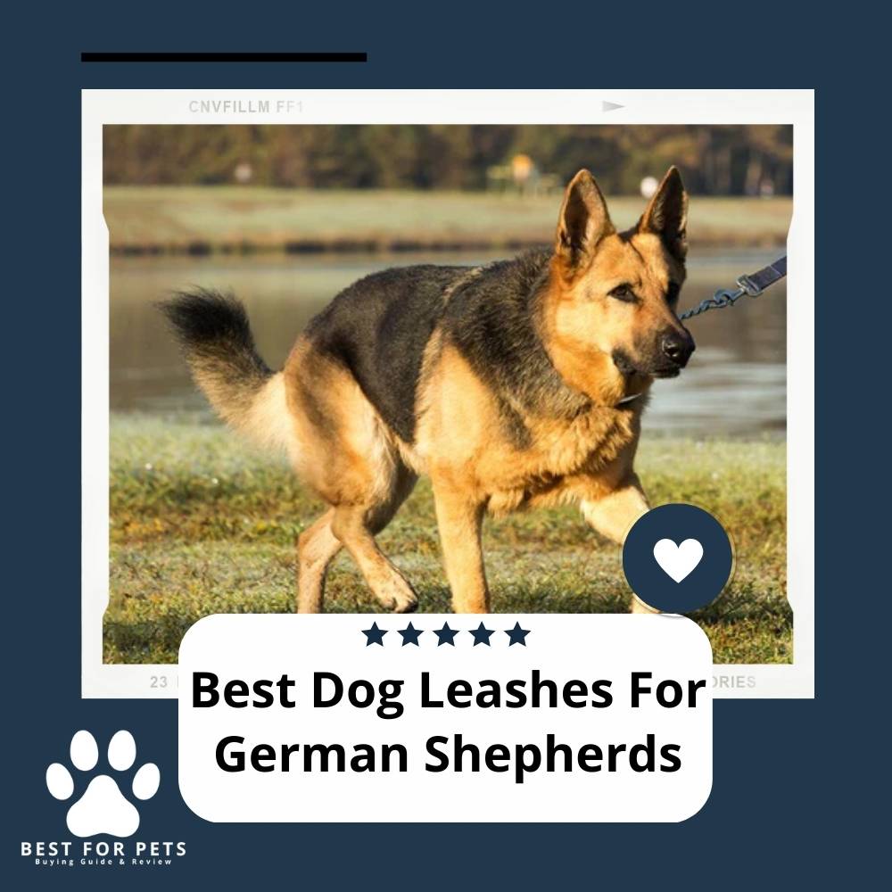 The 15 Best Dog Leashes For German Shepherds