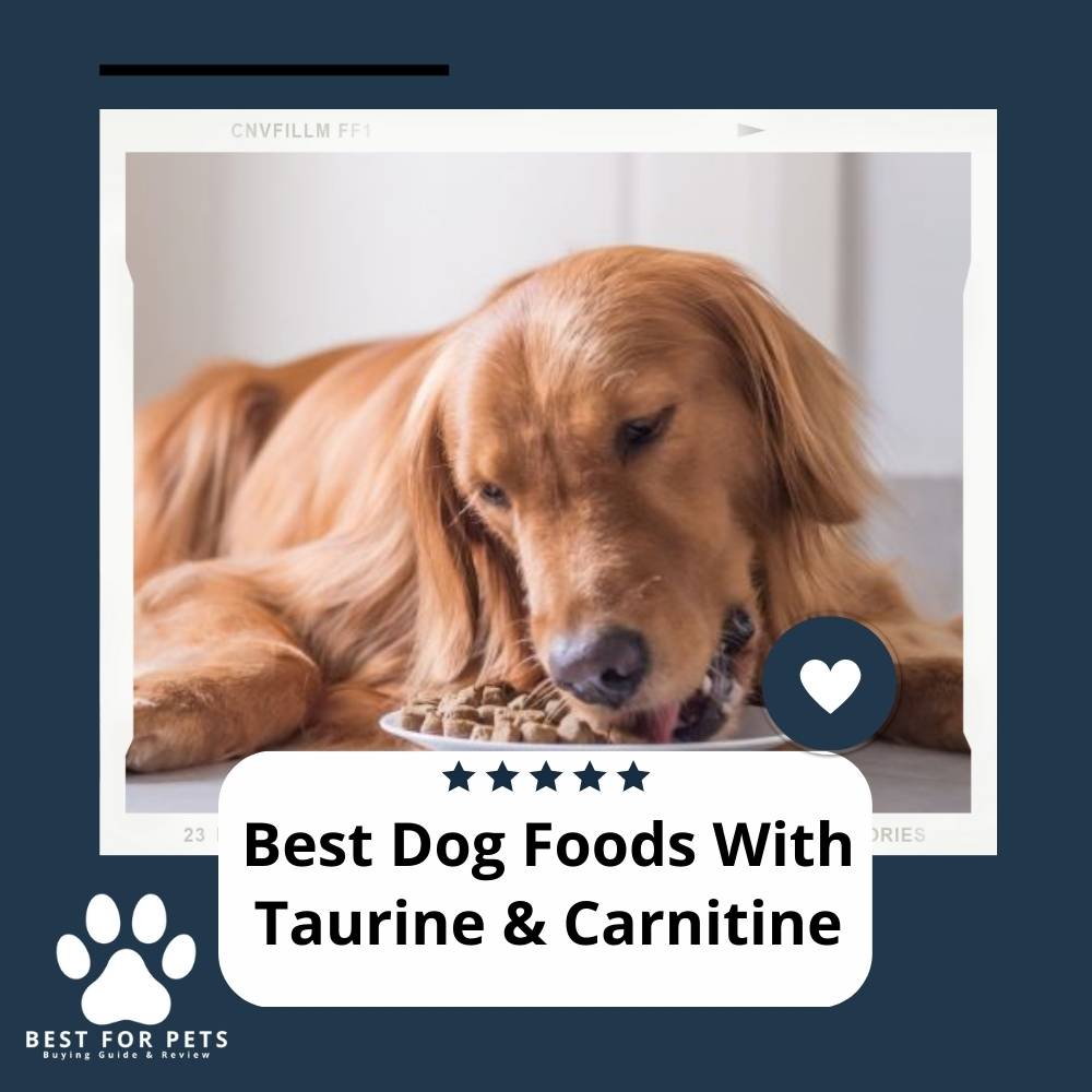 The 11 Best Dog Foods With Taurine & Carnitine