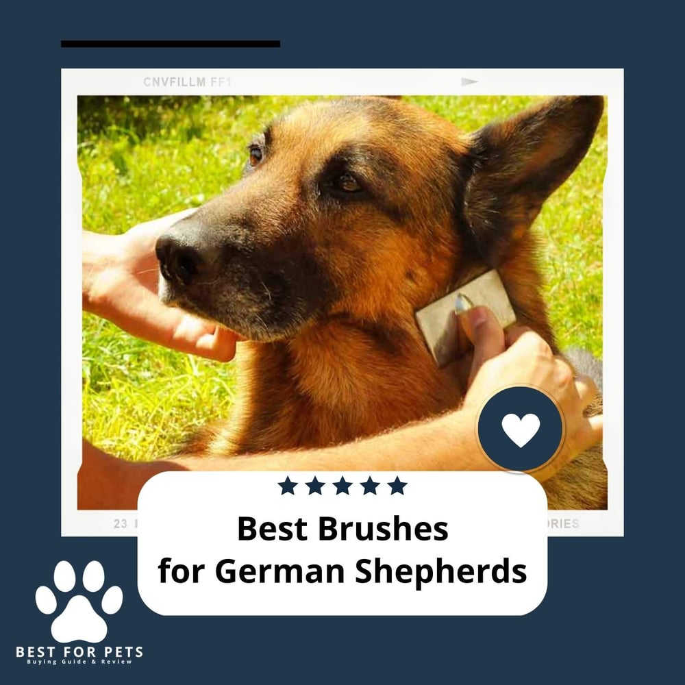 The 12 Best Brushes For German Shepherds